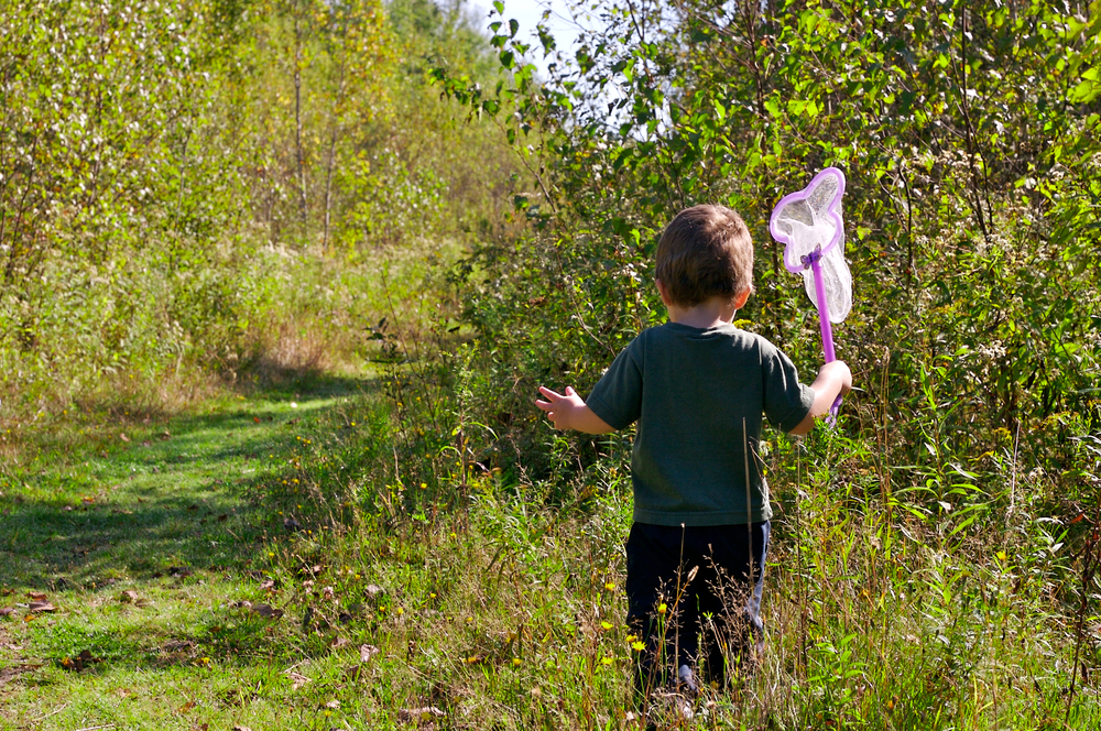 Young boy holding net walking in brush outside in summer