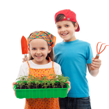 Boy and girl with a tray of seedlings