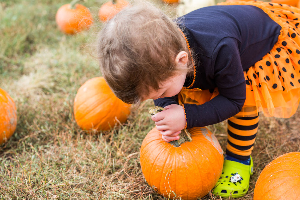 31 Fall Activities You Can Do With Your Kids